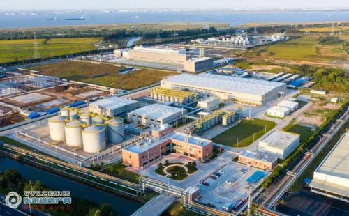 加速推進 張家港保稅區(qū)勝牌 張家港 潤滑油 開米科思新型環(huán)保制冷材料項目兩大項目蓄勢待發(fā)